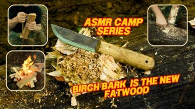 ASMR Camp Series Birch Bark the Fatwood Alternative