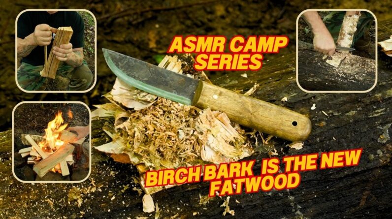 ASMR Camp Series Birch Bark the Fatwood Alternative