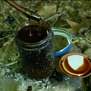 How to Make Fuel from Pine Trees
