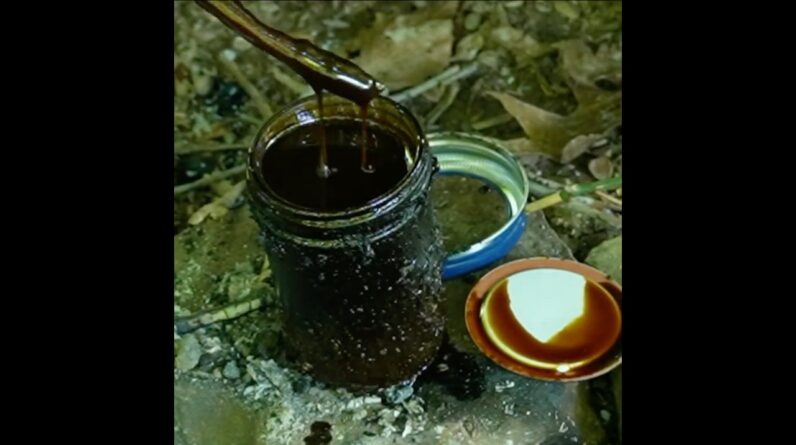 How to Make Fuel from Pine Trees