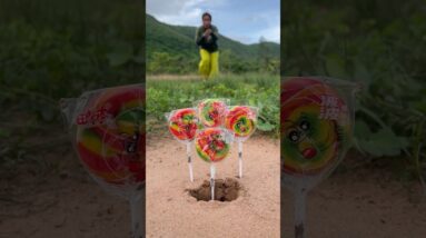 Survival Skills: SMART idea and USEFUL in Forest #bushcraft #outdoors #survival #skills