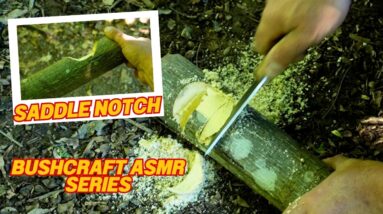 ASMR Series How to Make a Saddle Notch