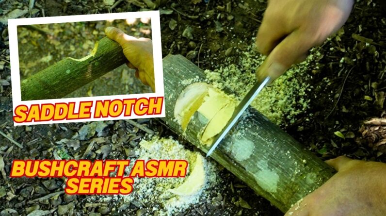 ASMR Series How to Make a Saddle Notch