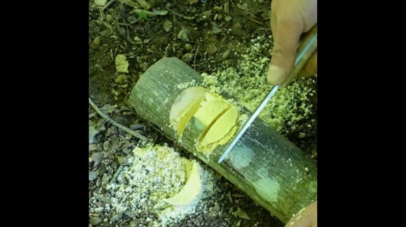 DIY Bushcraft Round Notch