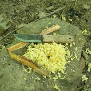 Fatwood Will Guarantee Your Next Campfire
