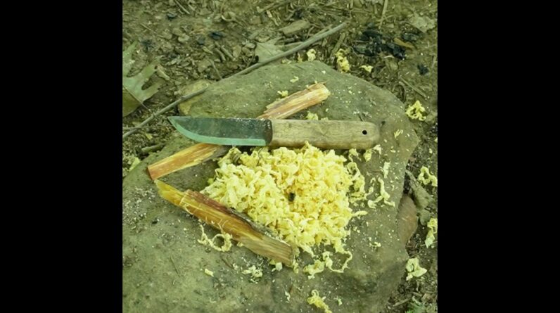 Fatwood Will Guarantee Your Next Campfire