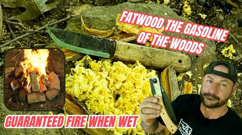 Guarantee Your Next Fire with Fatwood the King of Natural Fuels