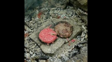 How To Cook a Double Cheeseburger on a Rock