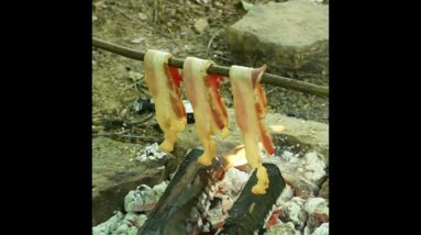 How To Cook Bacon Over the Campfire without a Skillet