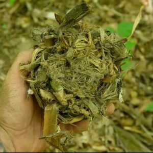 How to Make a Textbook Tinder Bundle From Poplar Bark