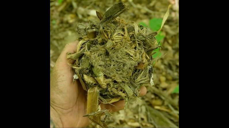 How to Make a Textbook Tinder Bundle From Poplar Bark