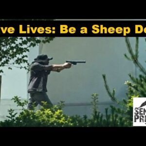 Idaho In-N-Out Burger Shooting: Top 10 Tools to be an Effective Sheep Dog!