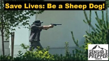 Idaho In-N-Out Burger Shooting: Top 10 Tools to be an Effective Sheep Dog!