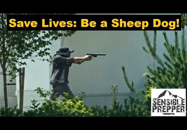 Idaho In-N-Out Burger Shooting: Top 10 Tools to be an Effective Sheep Dog!