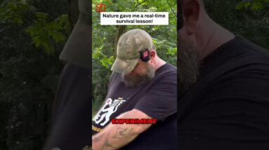 🐝💥Easy Natural Remedy for Insect Bite!