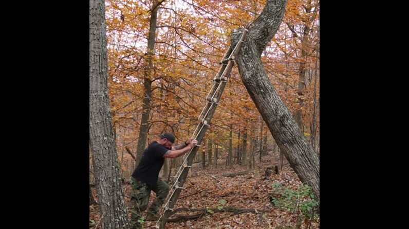 How To Make a Bushcraft Ladder