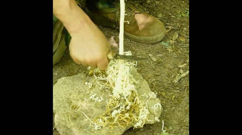 When All Else Fails Use a Green Stick To Start a Fire