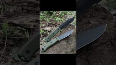 Which one would you chose?