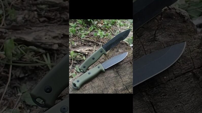 Which one would you chose?