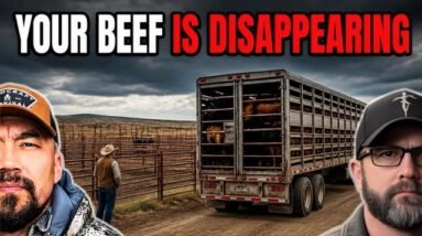 Your Beef Supply Is Being Liquidated