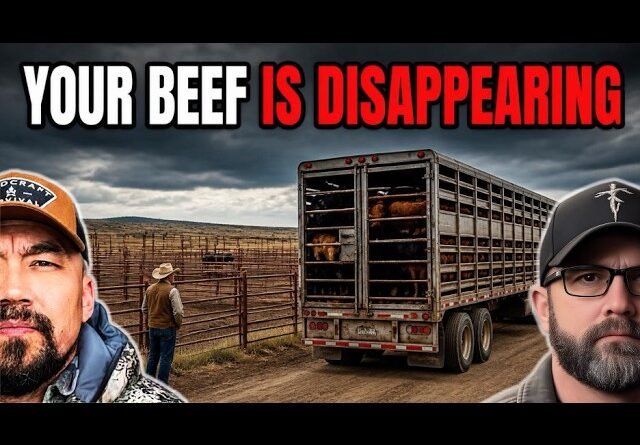 Your Beef Supply Is Being Liquidated