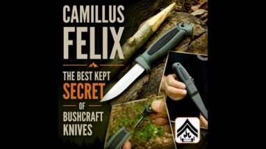 The Camillus Felix a Cheap Budget Knife That You Need