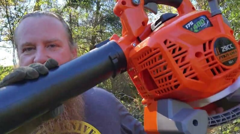 PROYAMA 29CC Gas Powered Handheld Leaf Blower, 3-in-1 Vacuum & Mulcher, Cruise Control & Bag