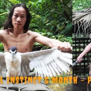 Primitive technology - Survival Challenge - The 6-month survival challenge in the jungle