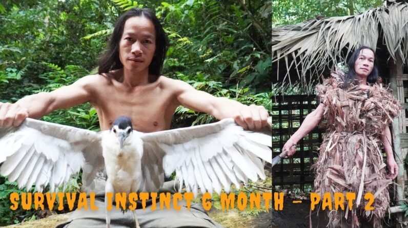 Primitive technology - Survival Challenge - The 6-month survival challenge in the jungle